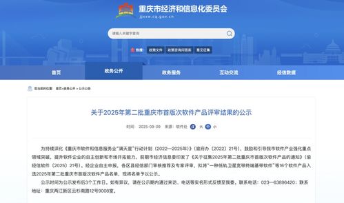 2025年第二批重慶市首版次軟件產品名單公示，引領行業創新與發展